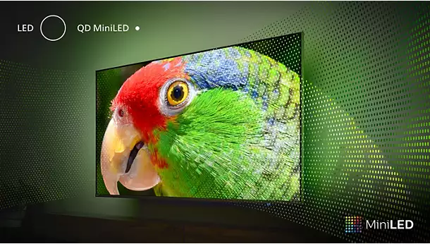 MiniLED TV