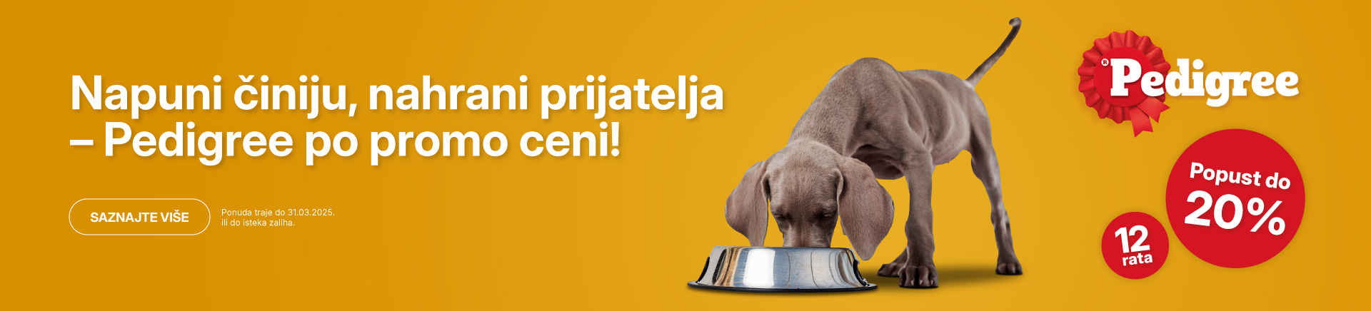SRB-202503-10448-Pedigree_MOBILE 760x872.jpg